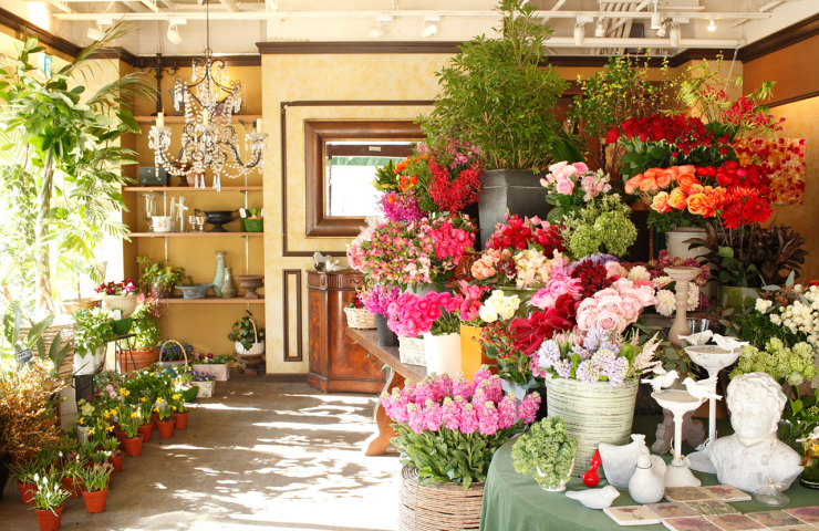 プレゼントにもおすすめ 蒲田にある素敵なお花屋さんをご紹介 Pathee パシー