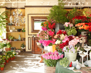 レ ミルフォイユ ドゥ リベルテ、カフェ ドゥ リベルテ